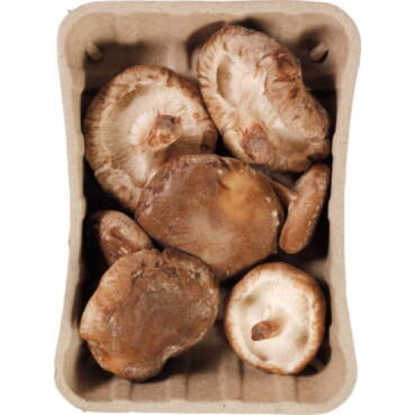 Shiitake 100g - NL bio