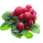 Radijsjes 1 bos zonder loof - NL bio