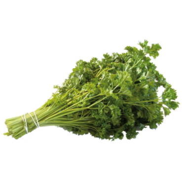 Krulpeterselie 1 bos - NL bio