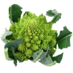 Romanesco 1st. - NL bio