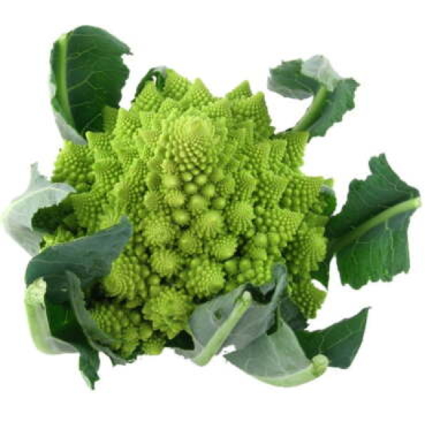 Romanesco 1st. - ES bio