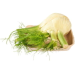 Venkel 450g - NL bio