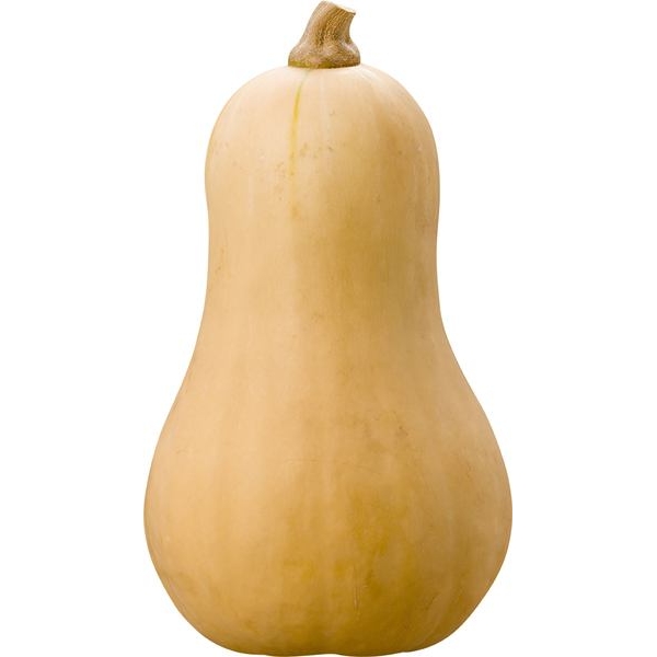 Pompoen Butternut 1st. - ES bio