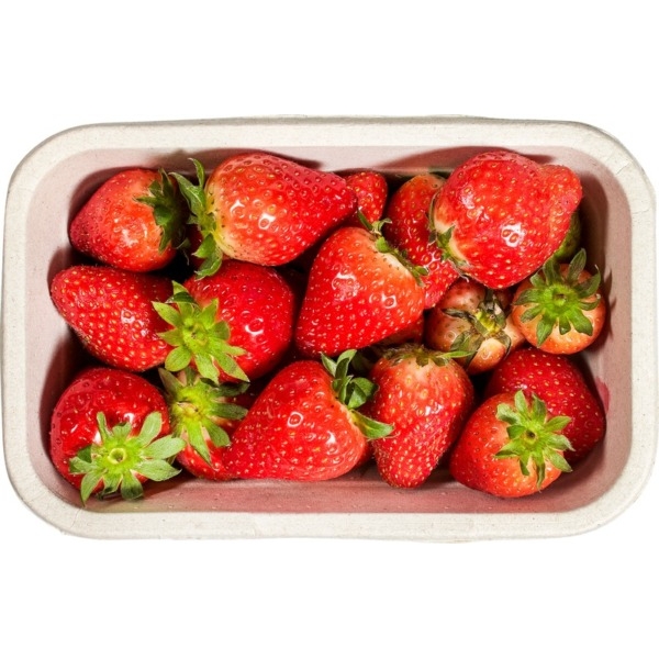 Aardbeien 200g - NL bio