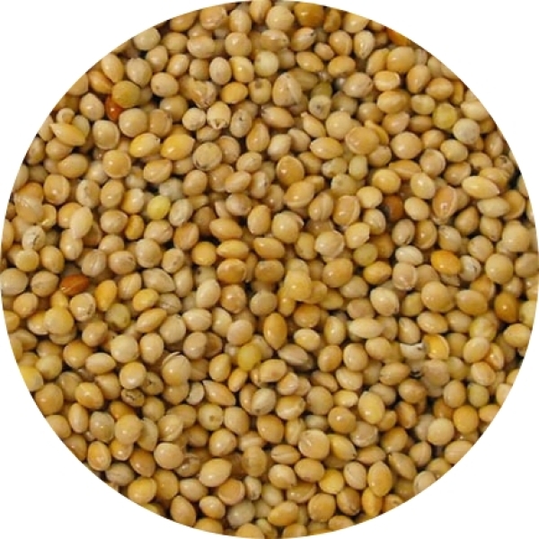 Gierst 25kg - Do It bio