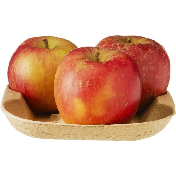 Appels Santana 600g  - NL bio