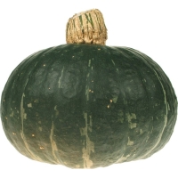 Pompoen groen 450-550g 1st. - Direct van de boer Oké