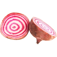 Bieten Tondo di Chioggia 450g - Direct van de boer Oké