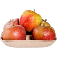 Appels boskoop 600g - NL bio