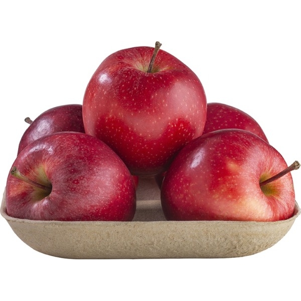 Royal Gala appels 600g - NL bio