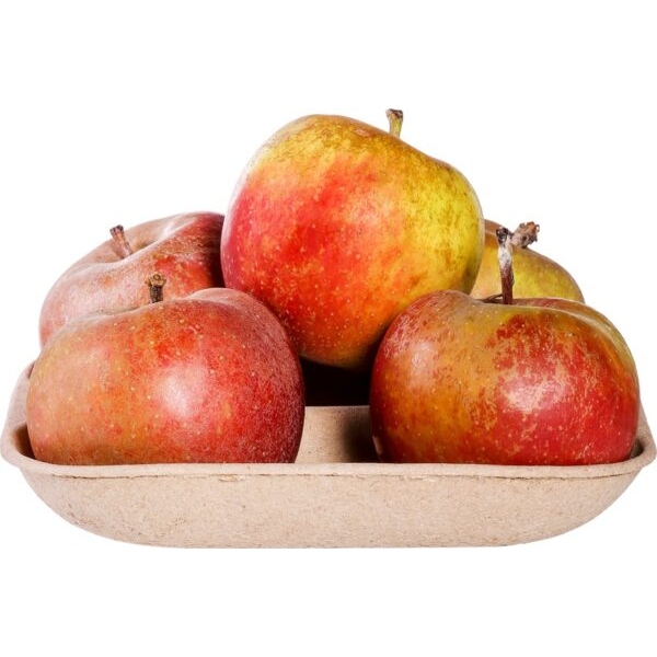 Delcorf appels 600g - NL bio