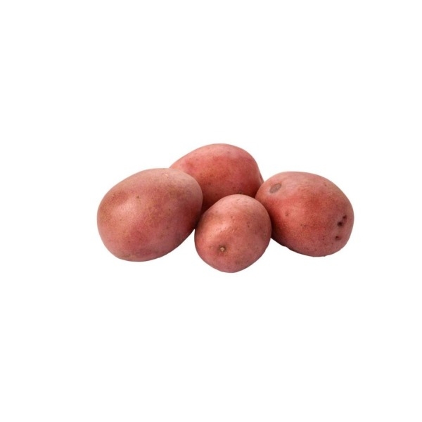 1 krat Aardappel Kriel (rood) 5kg - Direct van de boer bio