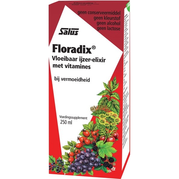 Floradix Ijzer-Elixer 250ml - Salus