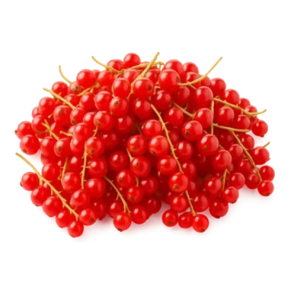 Handgeplukte onbespoten aalbessen 500g
