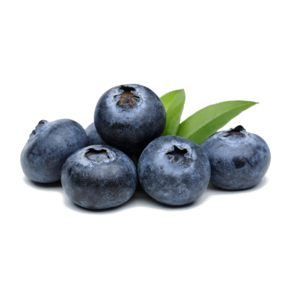 Blauwe bessen 1kg - Direct van de boer bio