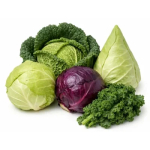 Willekeurige soort kool - bio