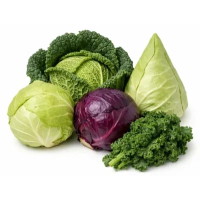 Willekeurige soort kool - bio