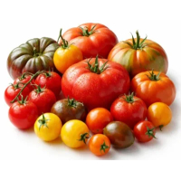 Willekeurige tomatensoort ±500g - bio