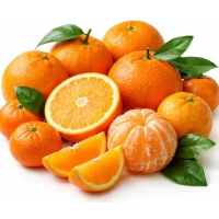 Willekeurige citrusvruchtensoort ±500g - bio