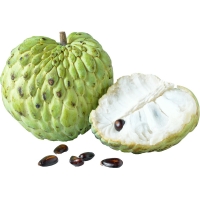 1x Cherimoya - Spanje Bio RED