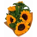 Boeket onbespoten Voerendaalse zonnebloemen 5st. - Oké (Enkel Hub Voerendaal)