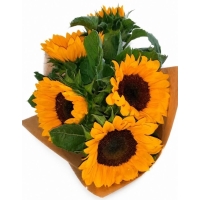 Boeket onbespoten Voerendaalse zonnebloemen 5st. - Oké (Enkel Hub Voerendaal)