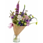 Wild Plukboeket – Kleurrijk Seizoensboeket met Verse Veldbloemen - bio (Enkel Hub Voerendaal)