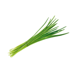 Bieslook 20g - NL bio