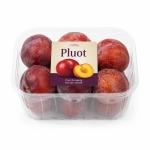 Pluot 500g - Oké